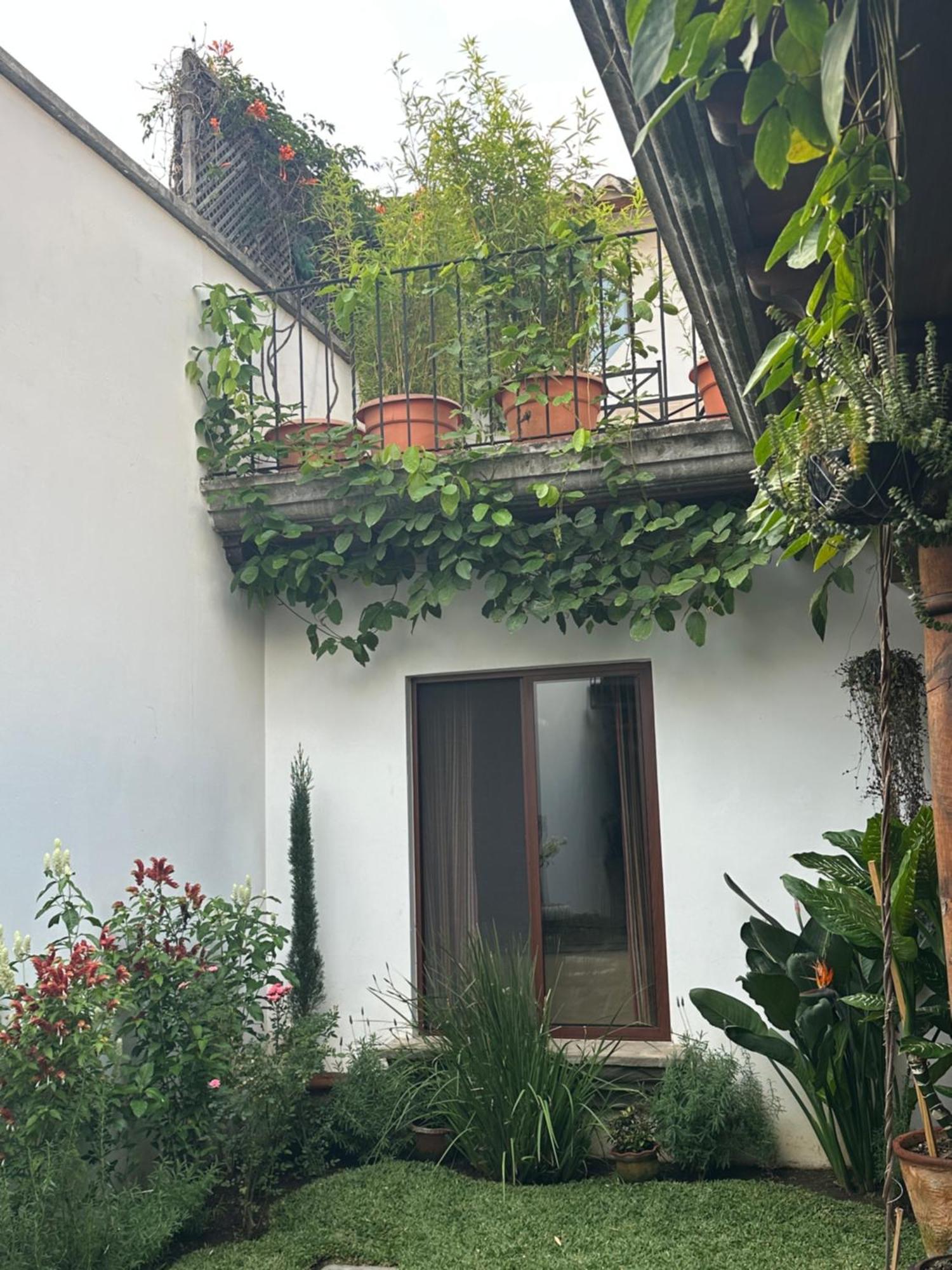 مبيت وإفطار أنتيغوا غواتيمالا Casa Elena المظهر الخارجي الصورة