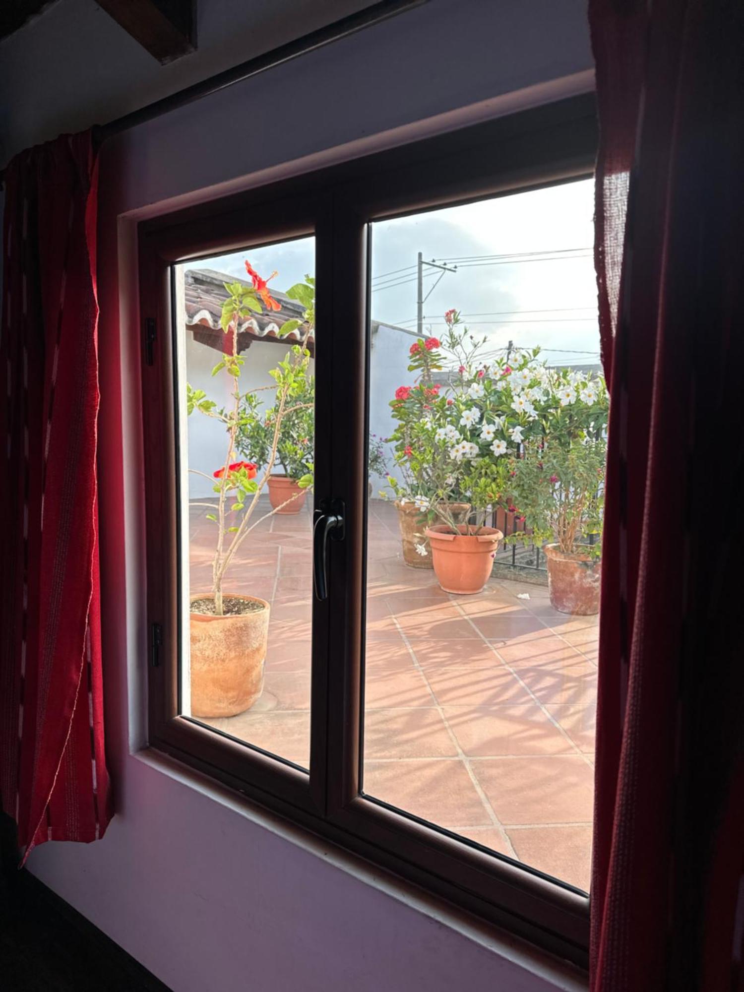 مبيت وإفطار أنتيغوا غواتيمالا Casa Elena المظهر الخارجي الصورة